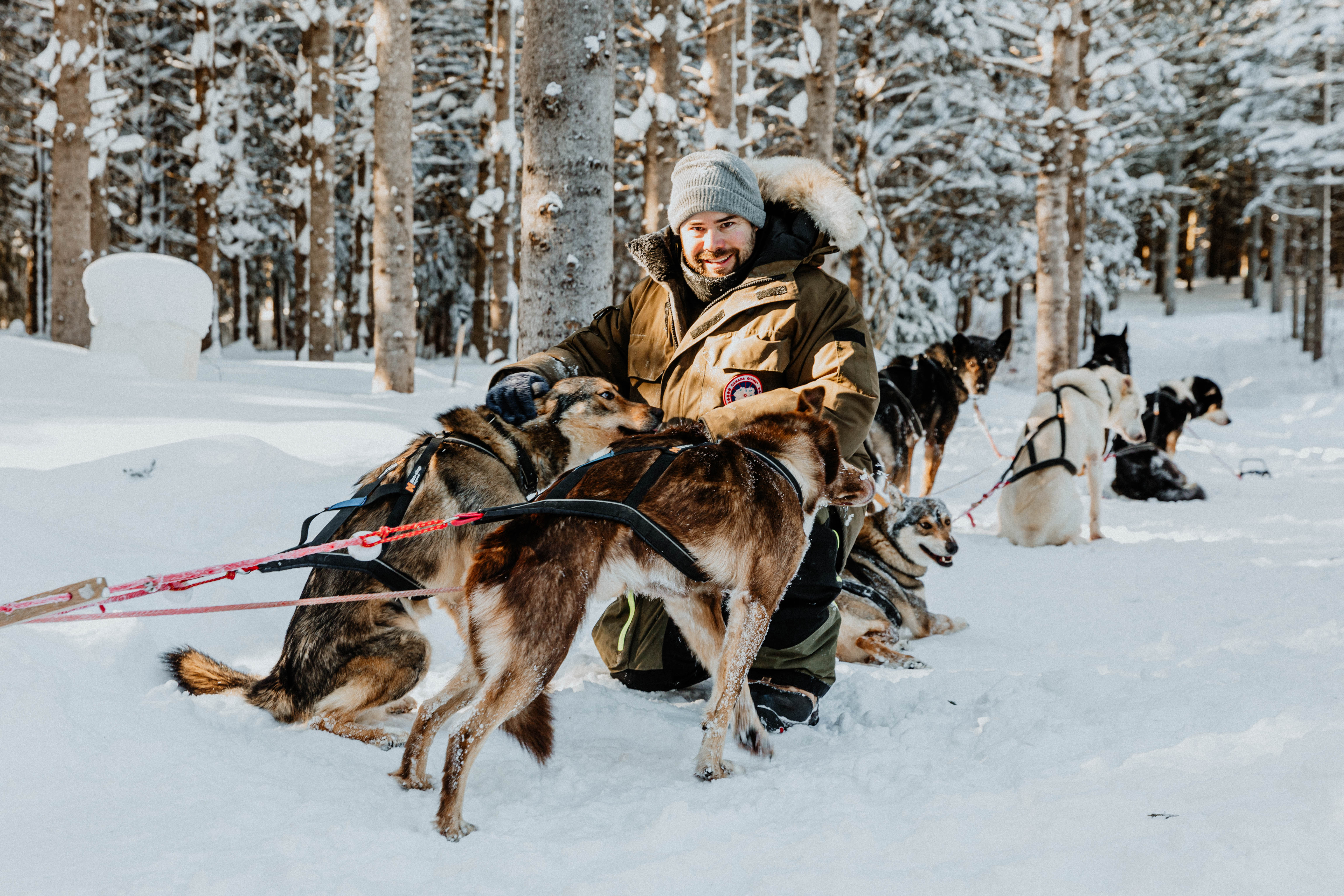 Meet the Mushers :: Can-Am Crown International Sled Dog Races